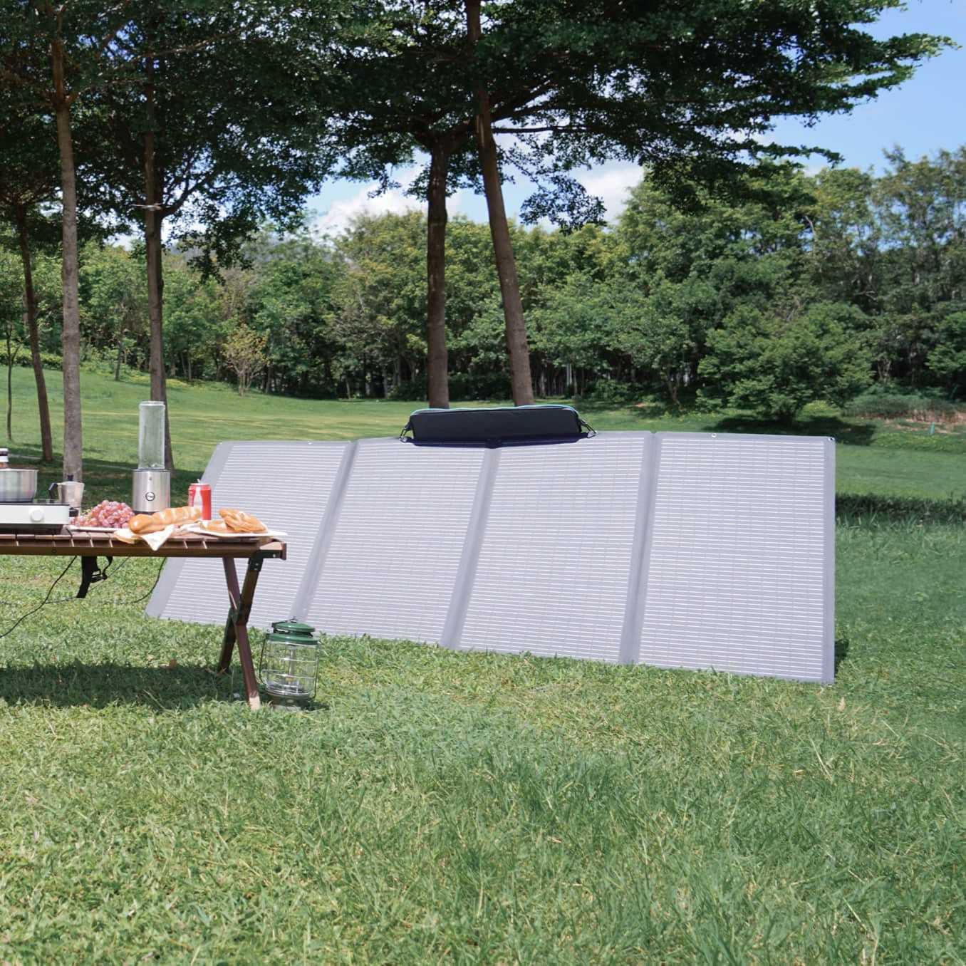 EcoFlow 400W Portable Solar Panel (Recommended Accessory) - Image 5